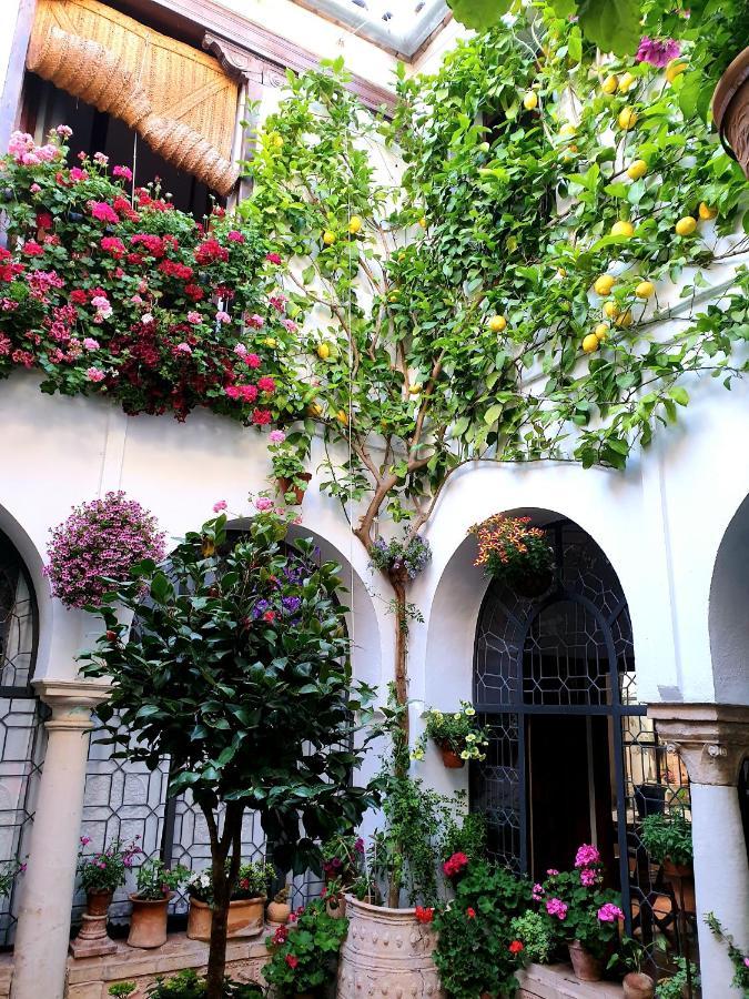Apto. Planta Baja Y Cochera Barrio San Basilio Cordoba Ngoại thất bức ảnh
